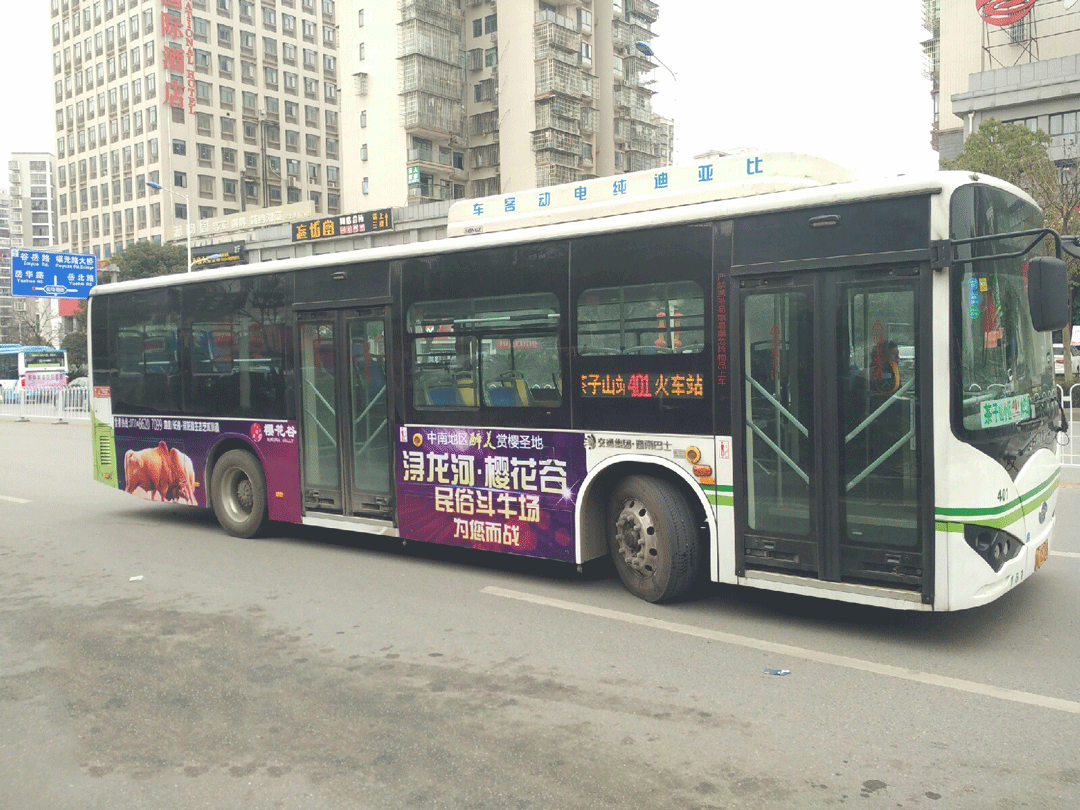 浔龙河公交车尾广告
