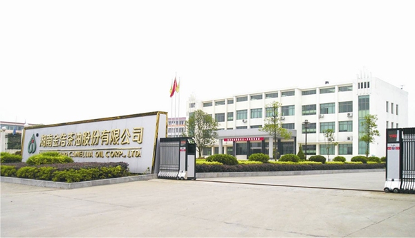 长沙公交巴士广告投放